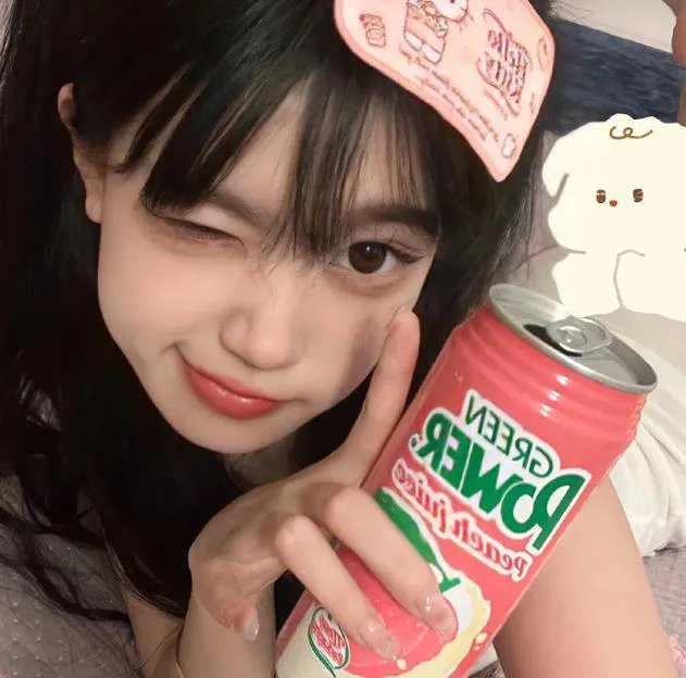 菜鸟总动员